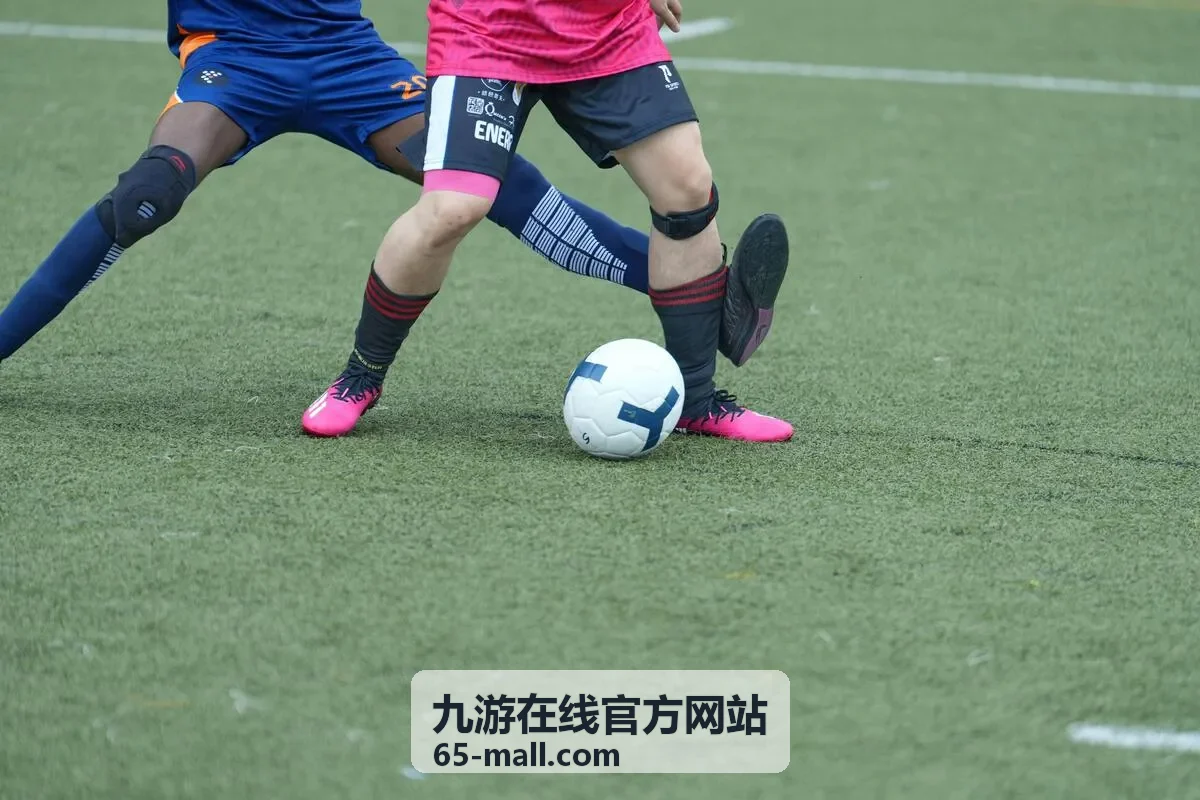 九游在线官方网站安全服务与维护公告主题卡片