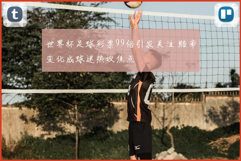 世界杯足球彩票99倍引发关注 赔率变化成球迷热议焦点