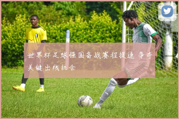 世界杯足球强国备战赛程提速 争夺关键出线机会