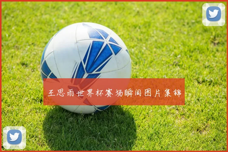 王思雨世界杯赛场瞬间图片集锦
