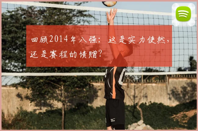 回顾2014年八强：这是实力使然，还是赛程的馈赠？