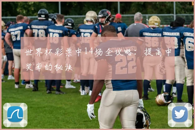 世界杯彩票中14场全攻略：提高中奖率的秘诀
