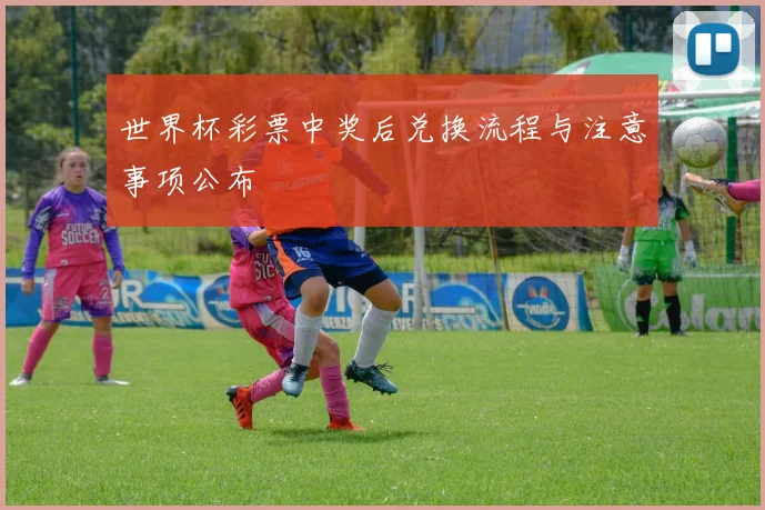 世界杯彩票中奖后兑换流程与注意事项公布