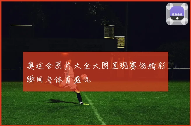 奥运会图片大全大图呈现赛场精彩瞬间与体育盛况