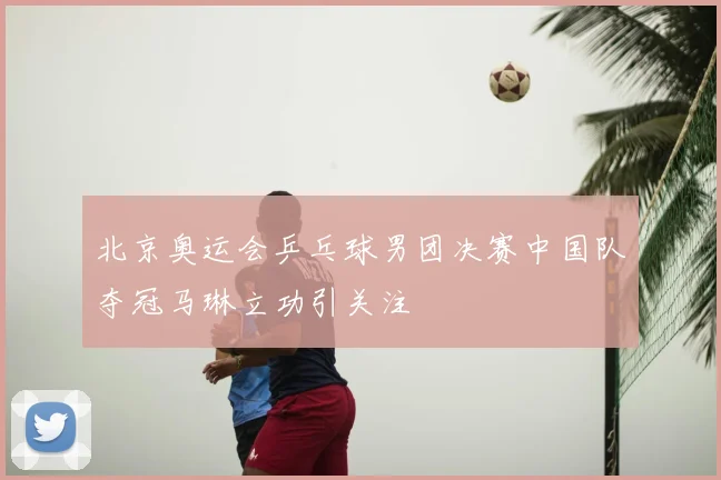 北京奥运会乒乓球男团决赛中国队夺冠马琳立功引关注