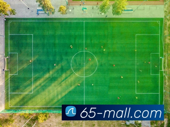 数据防护可视化